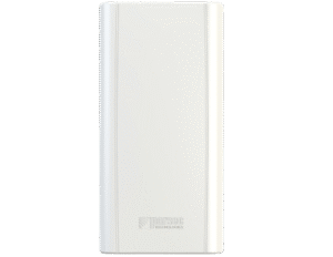 Whippet 01 Whippet 01