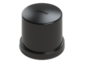 CHIHUAHUA ST 17 CHIHUAHUA ST 17