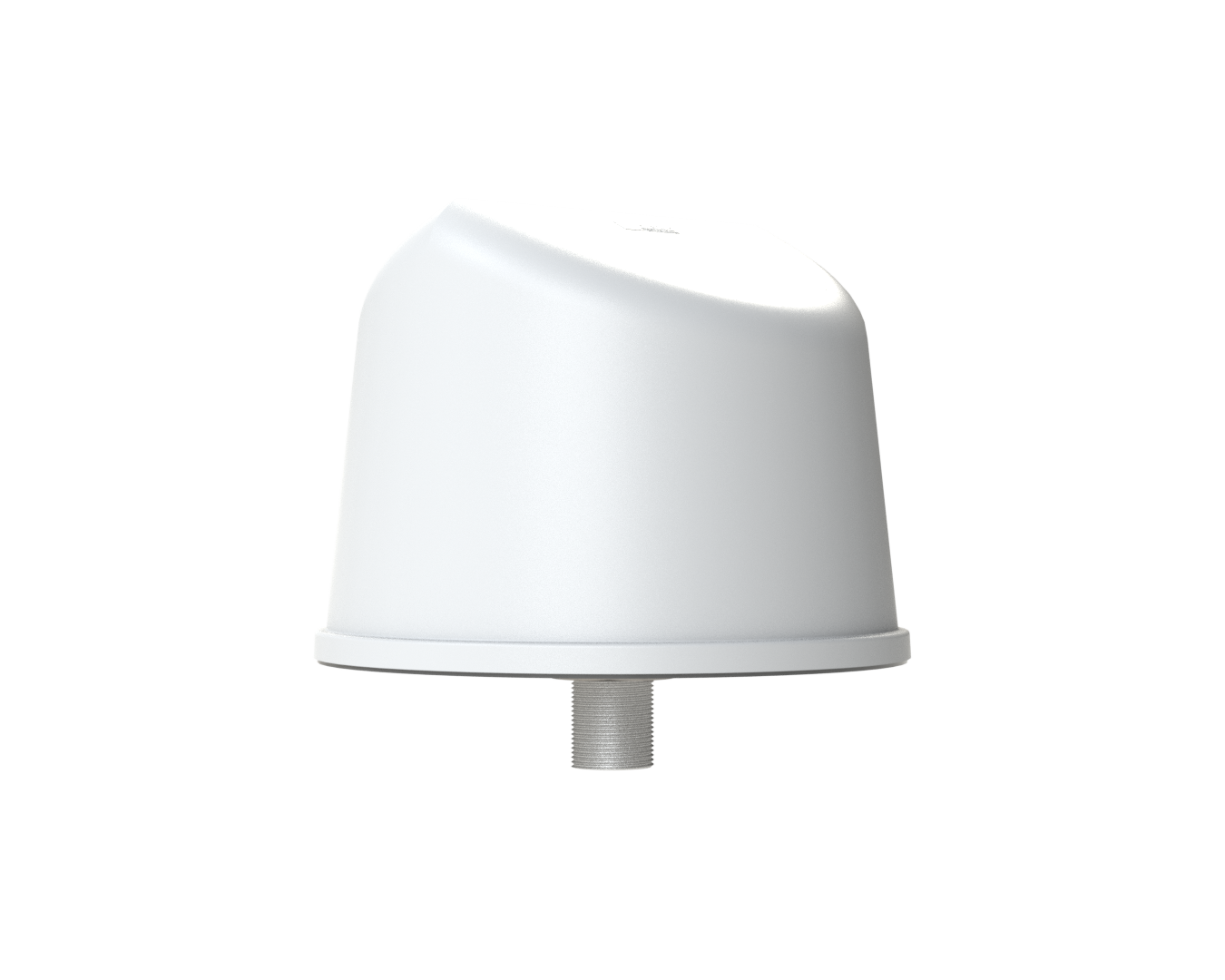 Timberwolf - Image 4