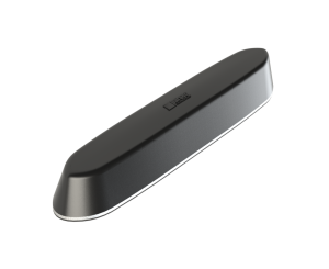 Australian Shepherd 2